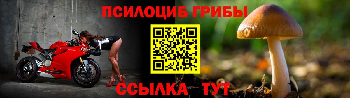 Псилоцибиновые грибы MAGIC MUSHROOMS Слободской